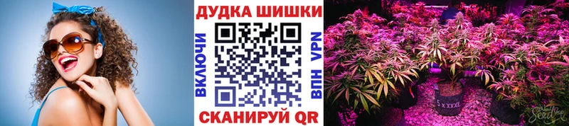 Бошки марихуана Ganja  наркотики  Кемь 